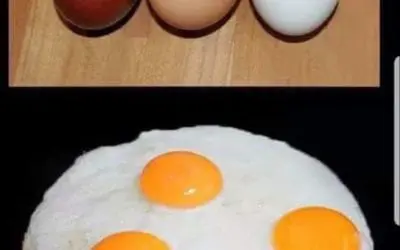 “MOMMY, DADDY, I DON’T UNDERSTAND”