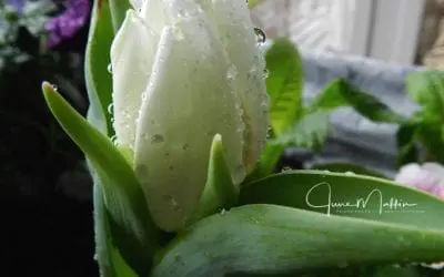 “WHERE’S THE BALANCE?”