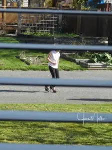 “MUDDY MESS WORLD”