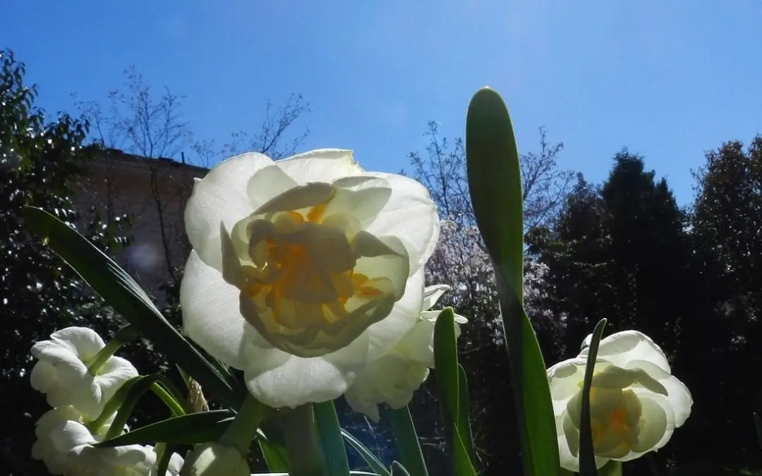 WITH MOTHER’S DAY ON THE HORIZON