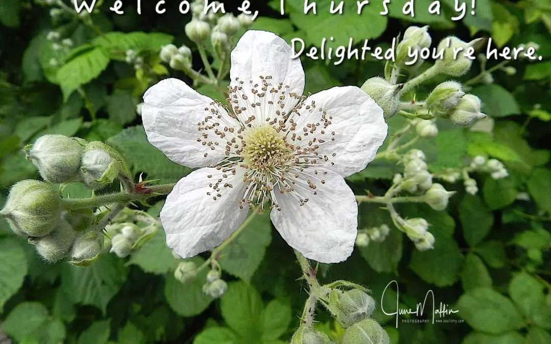 “WELCOME THURSDAY”