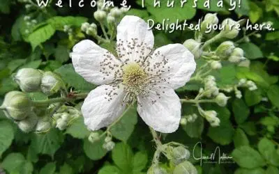 “WELCOME THURSDAY”