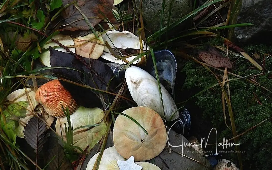 “LITTLE TREASURES”