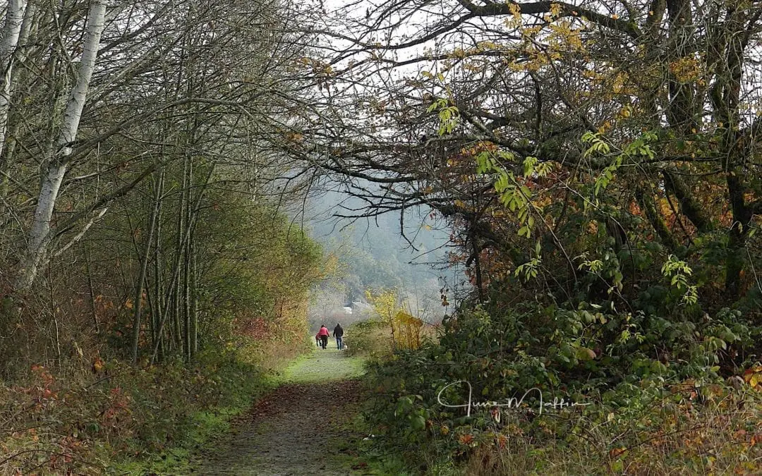 “WHAT-IF questions: The Can-Be-Done Path”