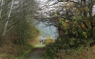 “WHAT-IF questions: The Can-Be-Done Path”