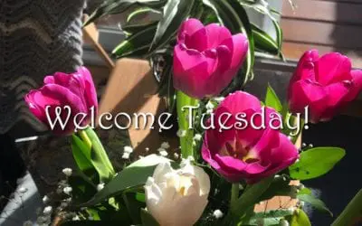“WELCOME TUESDAY”