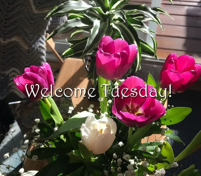 “WELCOME TUESDAY”