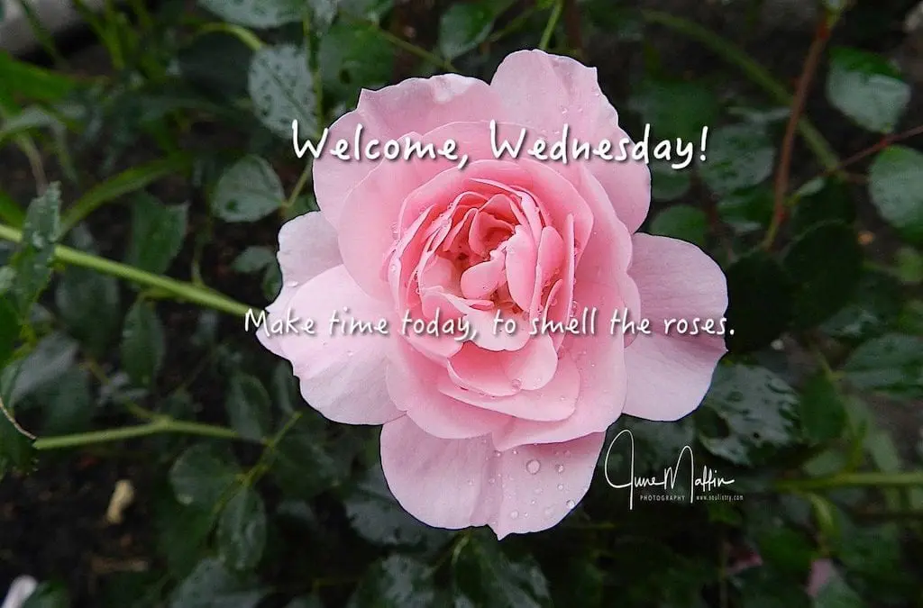 “WELCOME WEDNESDAY”