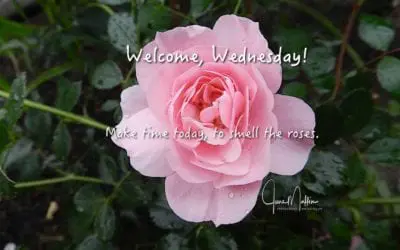 “WELCOME WEDNESDAY”