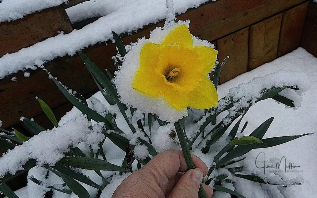 “EVEN IN THE MIDST OF DEATH”