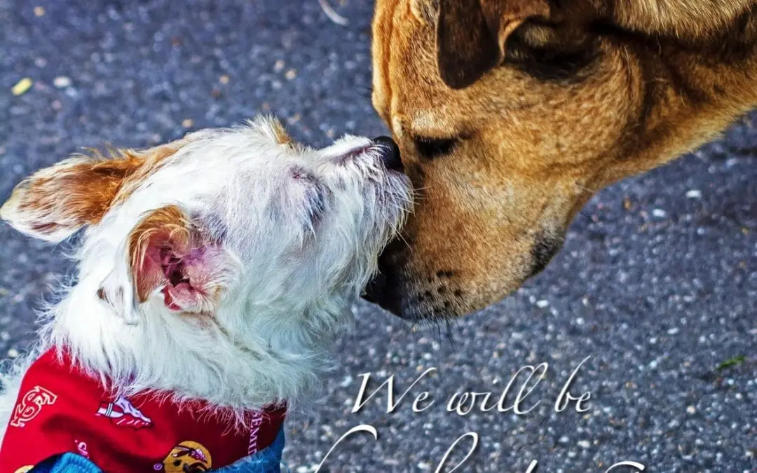 “BEING STRENGTH”