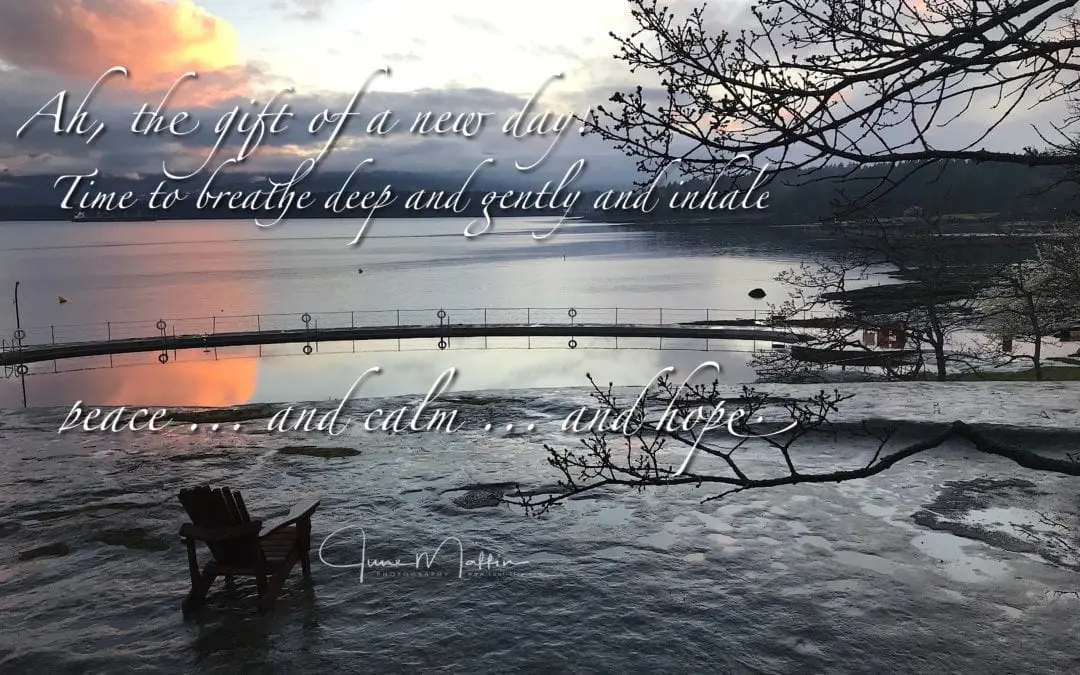 “ATTITUDE ADJUSTMENT”