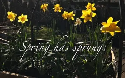 “SPRING, WAR, COVID AND BLESSING”