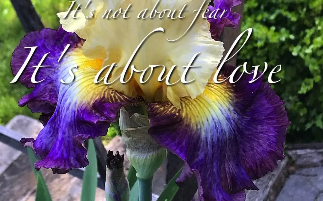 “IT’S ABOUT LOVE”