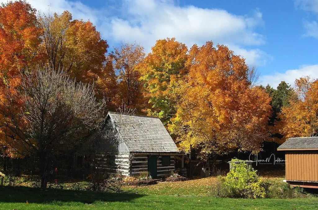 “THANKSGIVING – EACH DAY”