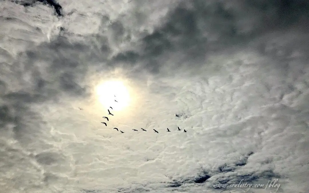 “BREATHE – JUST BREATHE”