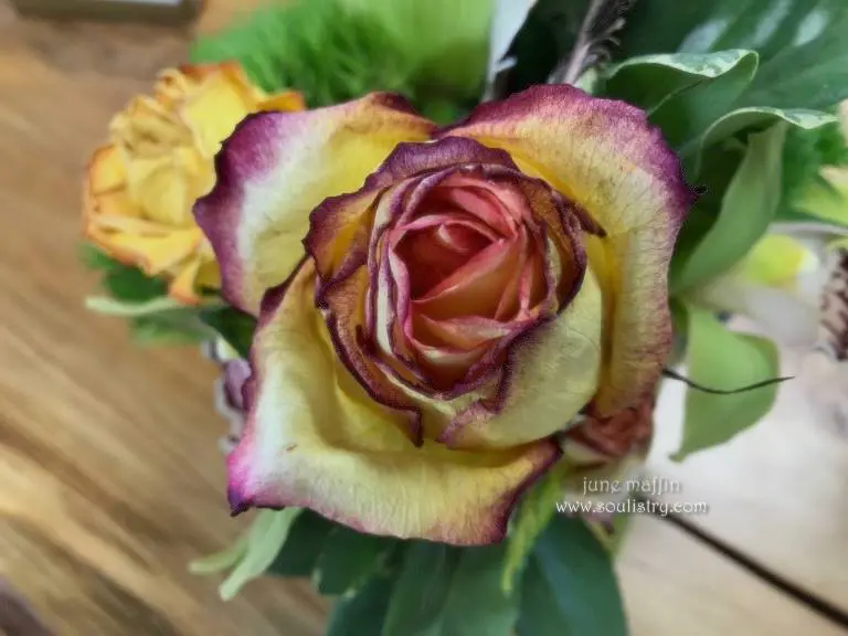 “WHAT HAS CHANGED”