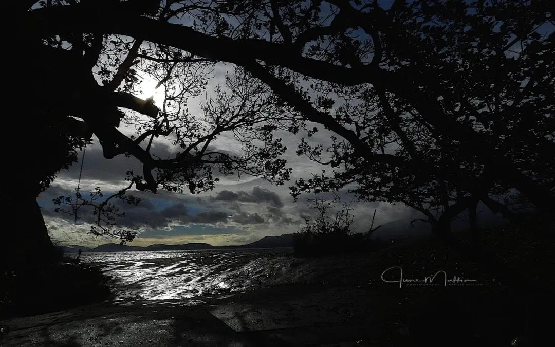 “WILLING TO BE WILLING”