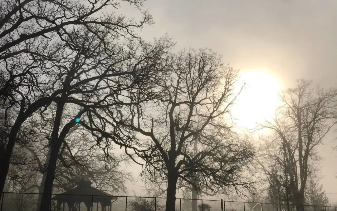 “SPIRIT OF GENTLENESS”