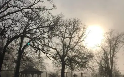 “SPIRIT OF GENTLENESS”