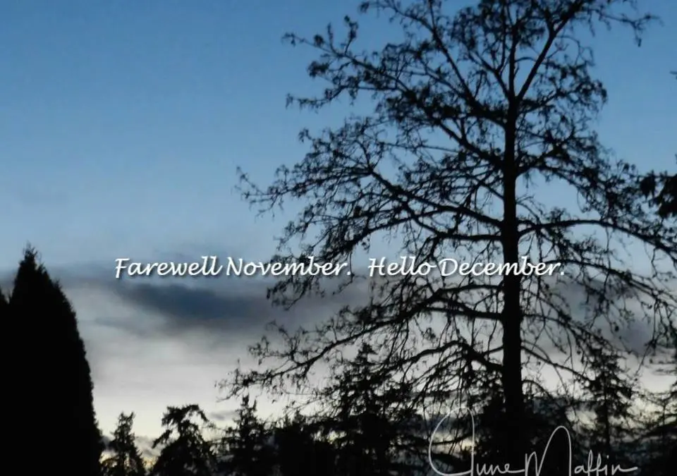 “Farewell November. Hello December”