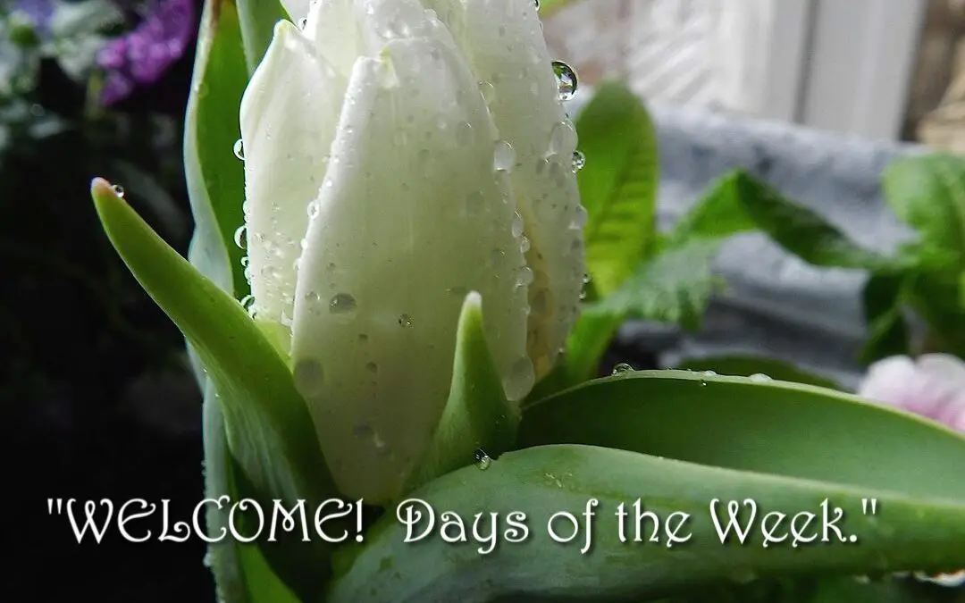 “HELLO – Welcome Days of the Week”