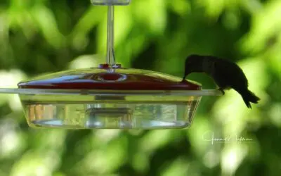 “Do You Remember aka A Touch of the Holy”