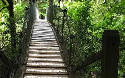 “Remembering …”