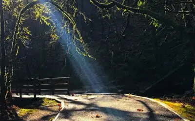 “LEAN ON THE ENERGY AND LOVE”