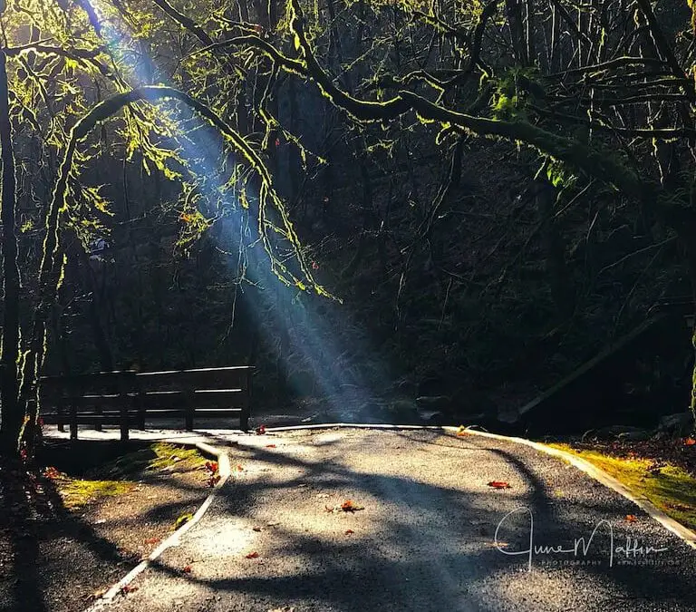 “LEAN ON THE ENERGY AND LOVE”