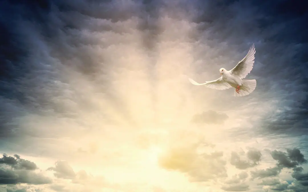 HOPE – LOVE – PENTECOST