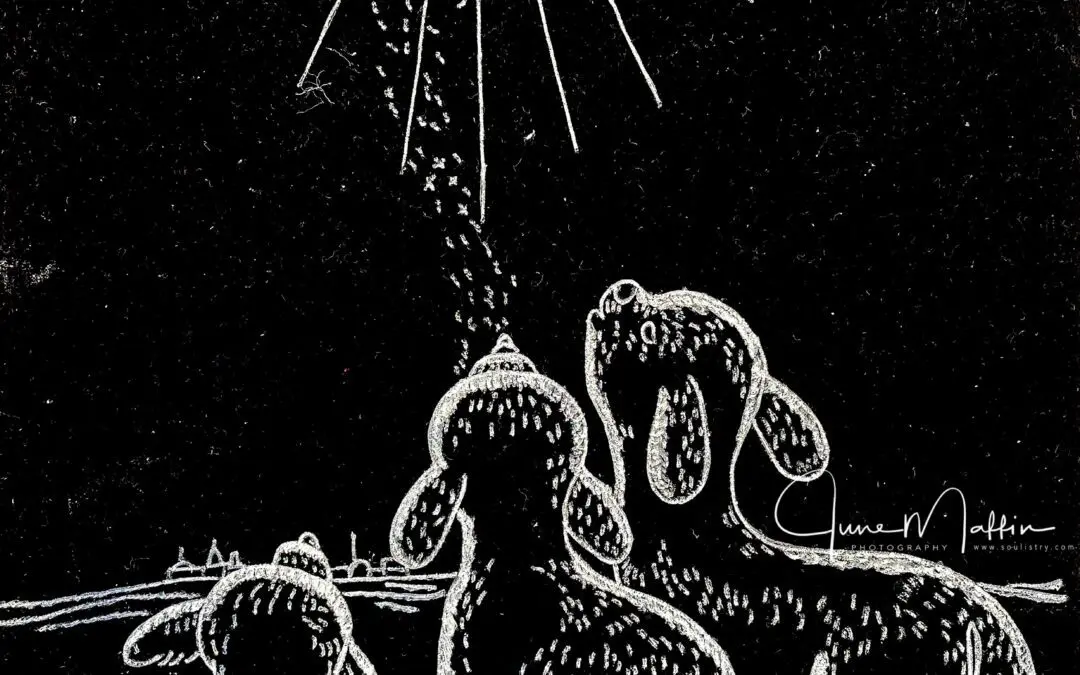 The STAR!  The LIGHT! EPIPHANY!