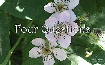 COPING IN DIFFICULT TIMES: FOUR QUESTIONS