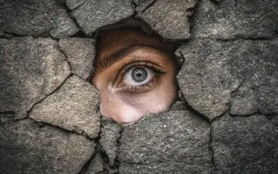 THROUGH THE PEEP-HOLE