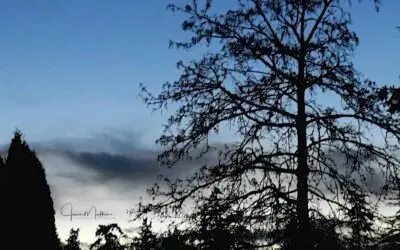 WINTER WEATHER – POLITICAL WINTER