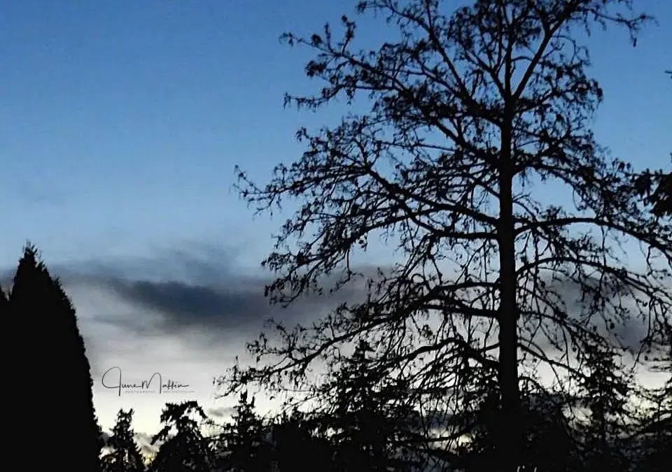 WINTER WEATHER – POLITICAL WINTER