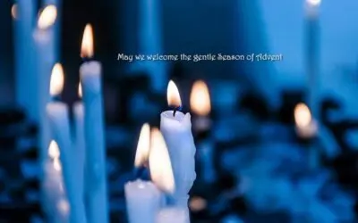 JOURNEY THROUGH ADVENT