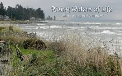 RISING WATERS OF LIFE