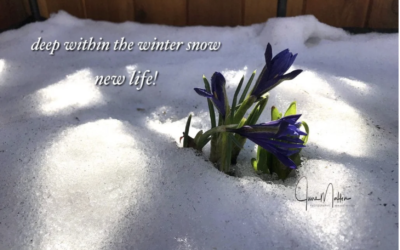 Winter Solstice, Longest Night