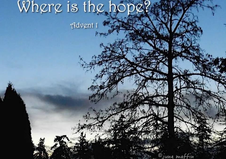 ADVENT 1: HOPE
