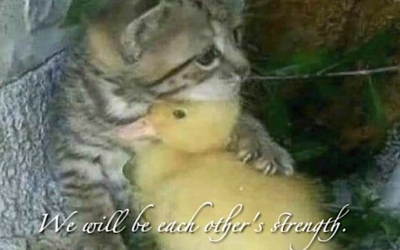 Let’s Be Each Other’s Strength