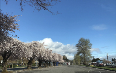 Simple Message – Remember to Breathe