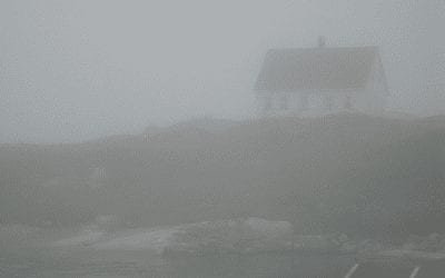 “THE FOG OF LIFE”