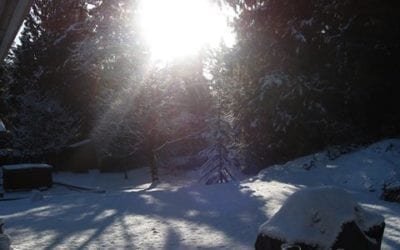 Winter Solstice – an Invincible Summer Within
