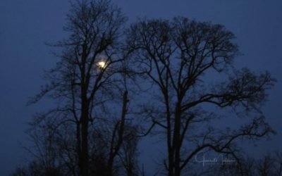 “WHEN DARKNESS COMES”