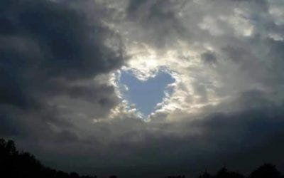 ELEGY OF LOVE