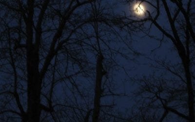 “DARKNESS”