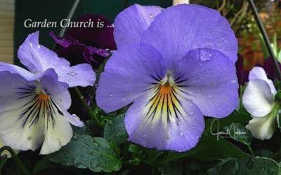 “GARDEN CHURCH”