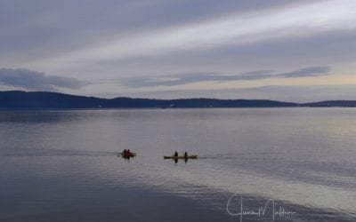 “WILDERNESS MOMENTS”