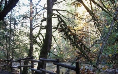 “FROM BEYOND … TO BEYOND: ADDRESS CHANGE”